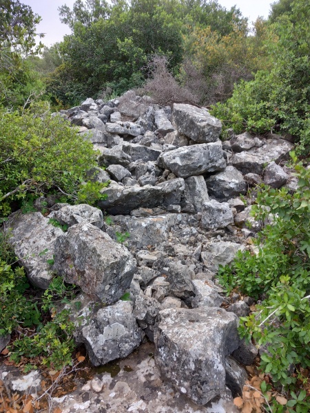 קובץ:2025-04-23T08 14 36.319692420963.jpg