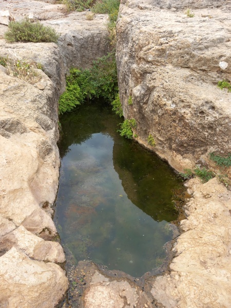 קובץ:2025-04-23T09 09 46.222542619481.jpg