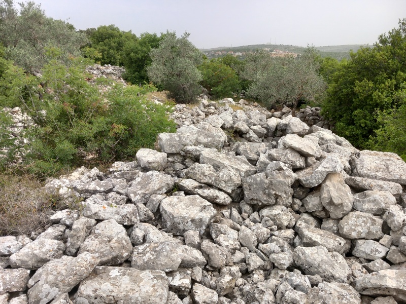 קובץ:2025-04-23T09 40 13.189849268507.jpg