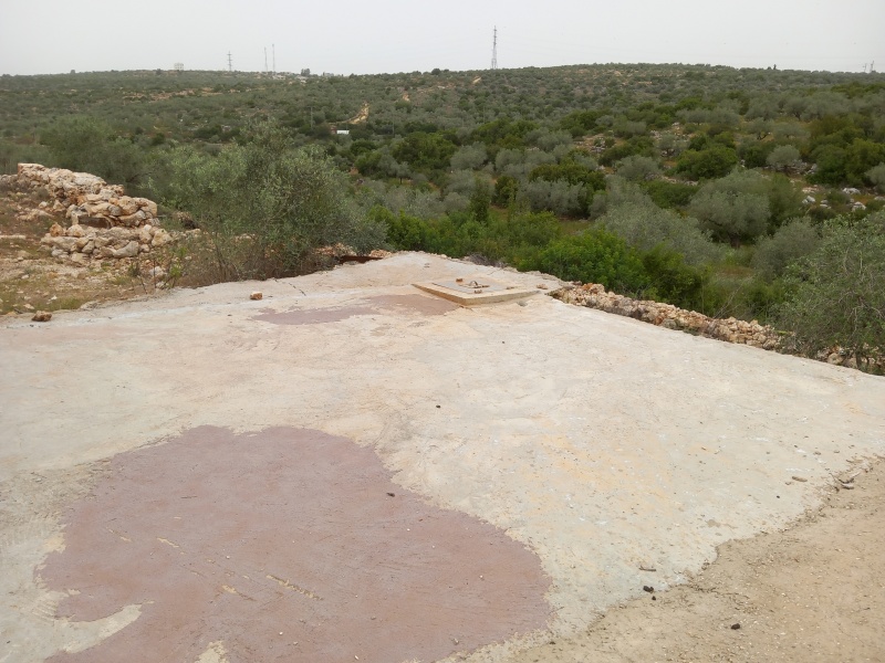 קובץ:2025-04-23T11 11 07.87987434636.jpg