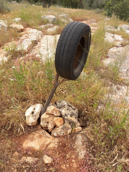 קובץ:2025-04-23T11 21 02.128439597445.jpg