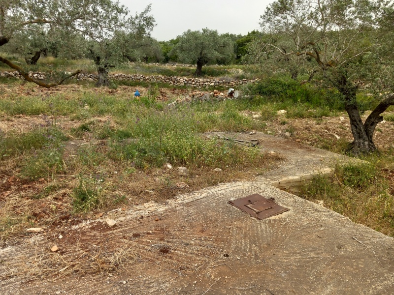 קובץ:2025-04-23T11 26 59.865201705933.jpg