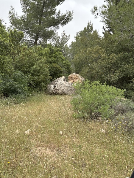 קובץ:2025-04-23T11 27 55.819167921921.jpg