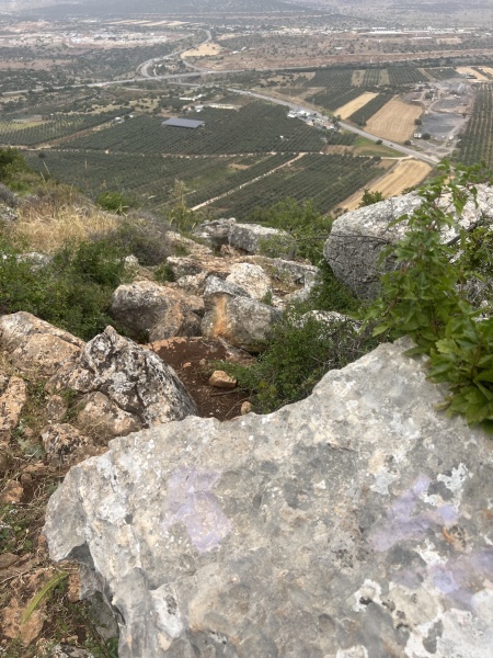 קובץ:2025-04-23T12 11 39.225073871536.jpg
