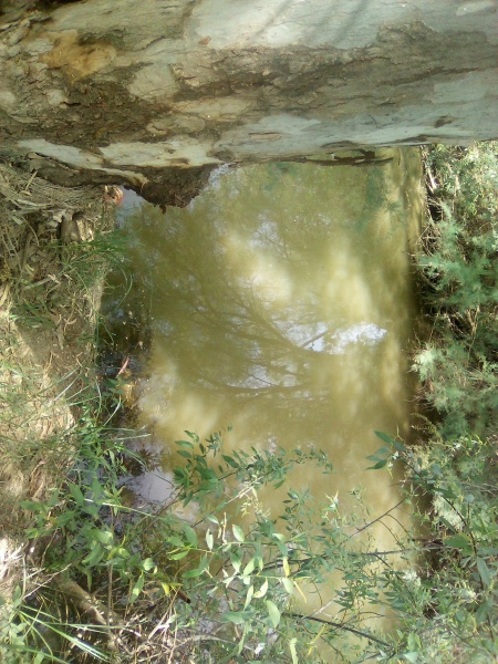 קובץ:2025-04-24T12 34 42.089844666179.jpg