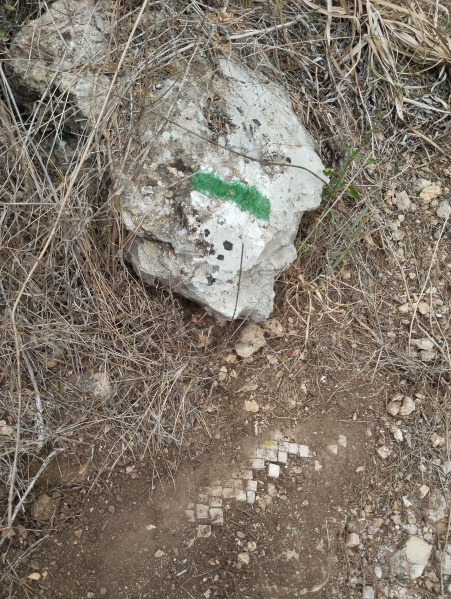 קובץ:2025-04-24T14 35 03.717992455506.jpg