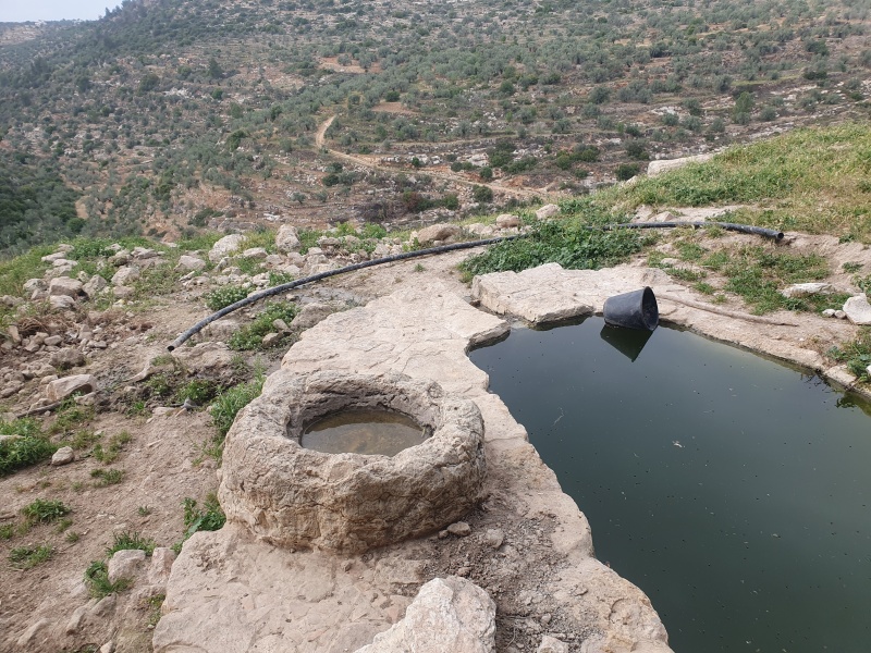 קובץ:2025-04-24T17 19 11.161508410250.jpg