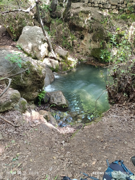 קובץ:2025-04-25T10 29 30.143788943457.jpg