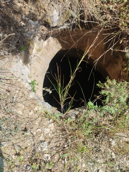 קובץ:2025-04-25T14 15 34.02989024456.jpg