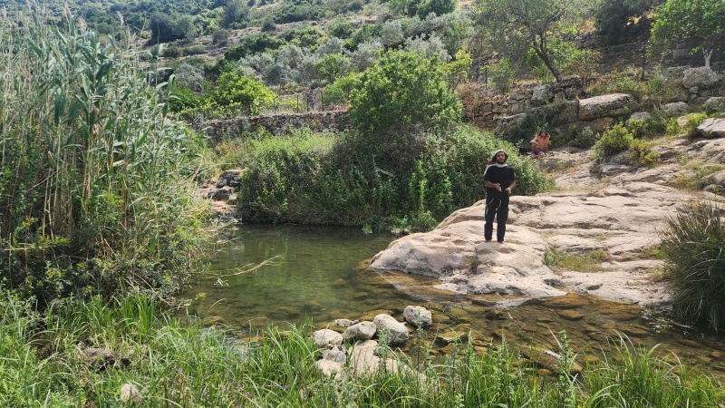 קובץ:2025-04-25T14 47 42.598900662162.jpg