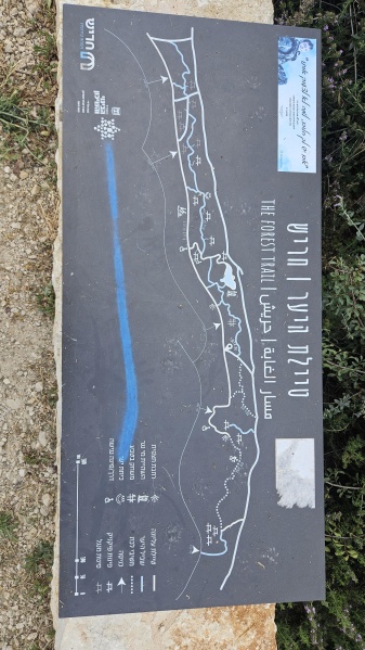 קובץ:2025-04-26T12 11 40.184721545321.jpg