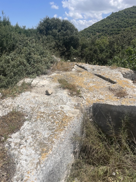 קובץ:2025-04-26T13 10 44.438265996793.jpg