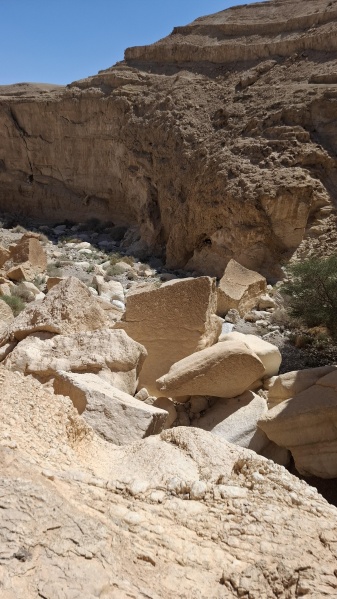 קובץ:2025-04-26T14 49 21.566288288827.jpg