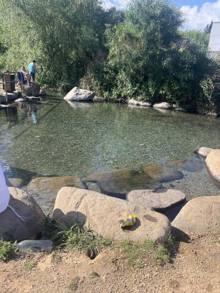 קובץ:2025-04-26T16 14 54.288559369335.jpg