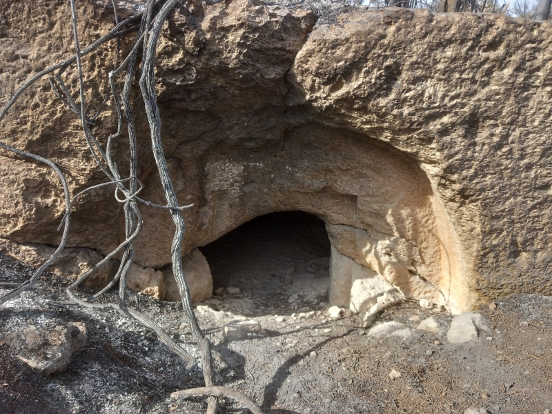 קובץ:2025-04-27T08 41 52.797621102513.jpg