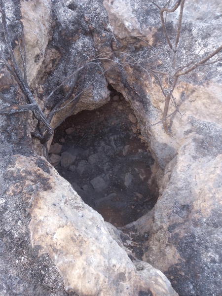 קובץ:2025-04-27T08 45 43.354692765900.jpg