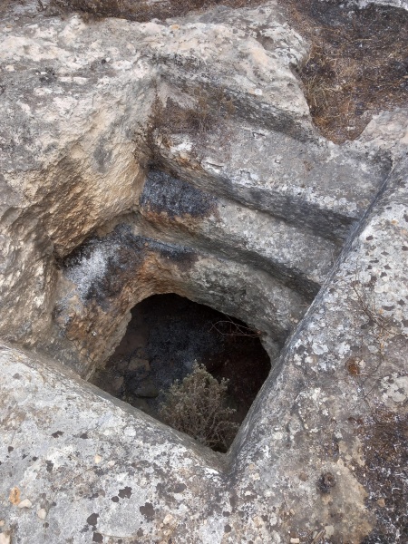 קובץ:2025-04-27T08 52 30.377584344970.jpg