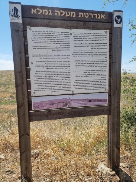 קובץ:2025-04-27T12 54 09.053544894418.jpg