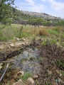 תמונה ממוזערת לגרסה מתאריך 12:20, 27 באפריל 2025