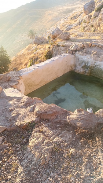 קובץ:2025-04-28T06 26 42.906633157155.jpg