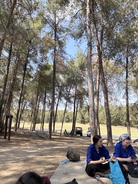קובץ:2025-04-28T15 06 54.237160985922.jpg