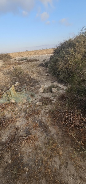 קובץ:2025-04-29T06 41 13.169169989695.jpg