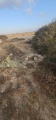 תמונה ממוזערת לגרסה מתאריך 03:20, 29 באפריל 2025