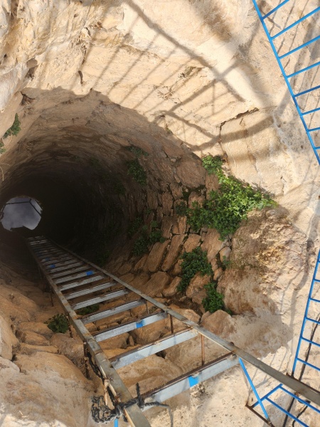 קובץ:2025-04-29T08 43 49.682918783828.jpg