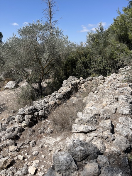קובץ:2025-04-29T10 31 36.040066417094.jpg