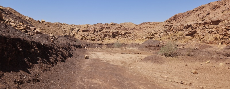 קובץ:2025-04-29T10 50 02.950976384807.jpg