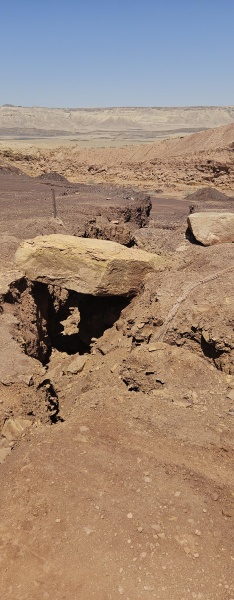 קובץ:2025-04-29T11 06 30.381271571990.jpg