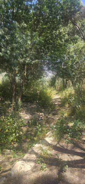 קובץ:2025-04-29T13 39 49.902090277412.jpg