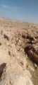 תמונה ממוזערת לגרסה מתאריך 12:05, 29 באפריל 2025
