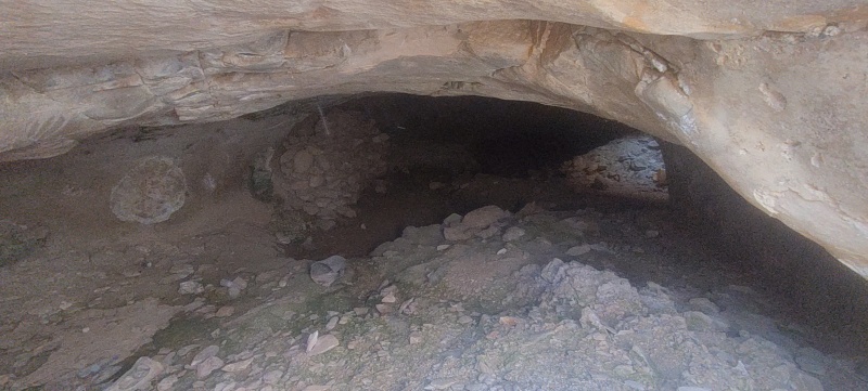 קובץ:2025-04-29T15 43 12.439012847822.jpg