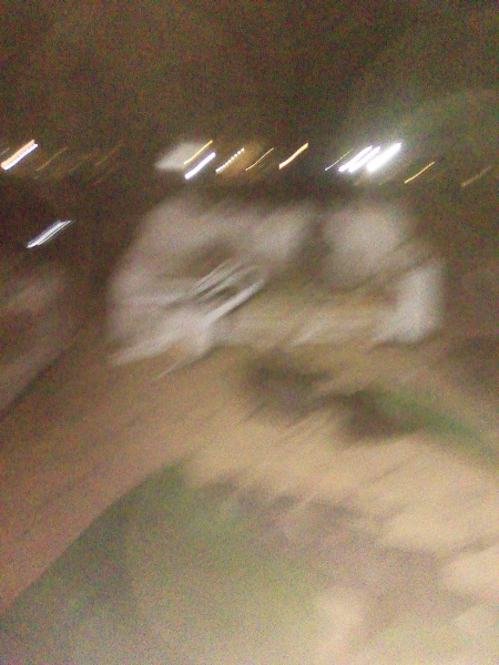 קובץ:2025-04-30T23 03 59.944616124008.jpg