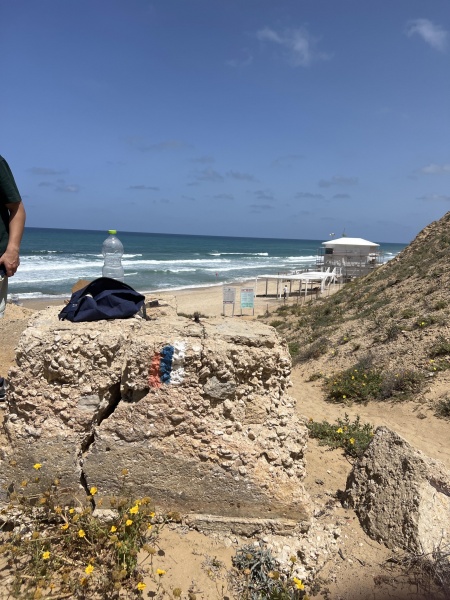 קובץ:2025-05-01T11 14 05.833051394377.jpg