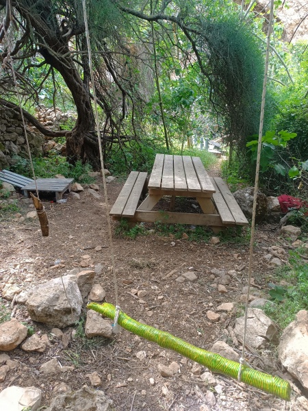 קובץ:2025-05-01T15 41 00.544606234120.jpg