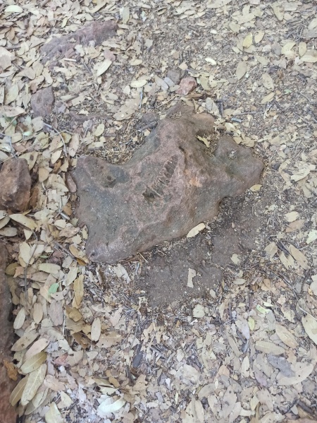 קובץ:2025-05-02T07 30 26.340963341351.jpg