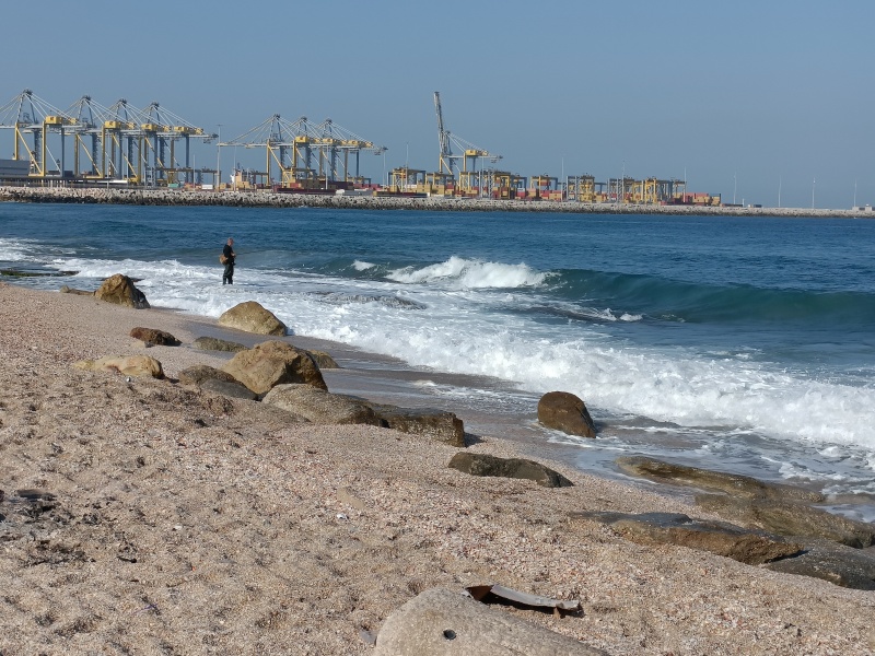 קובץ:2025-05-02T08 16 04.202837978062.jpg