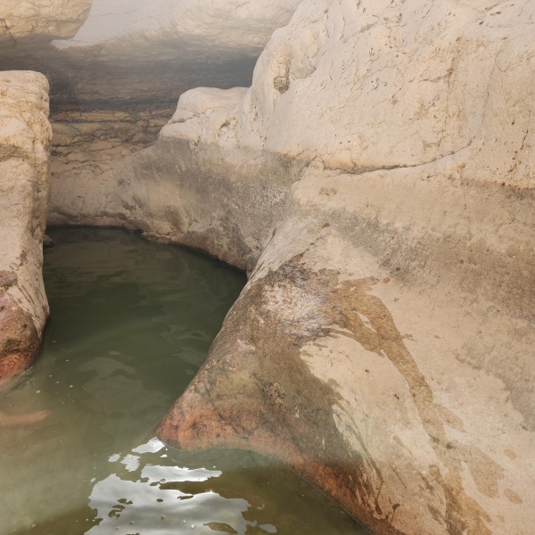קובץ:2025-05-02T08 56 13.930881819009.jpg