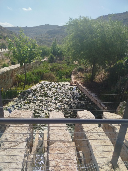 קובץ:2025-05-02T09 08 39.951676131489.jpg