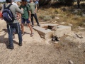 תמונה ממוזערת לגרסה מתאריך 06:55, 2 במאי 2025