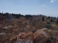 תמונה ממוזערת לגרסה מתאריך 08:19, 2 במאי 2025