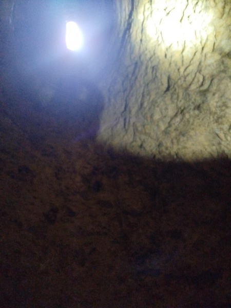 קובץ:2025-05-02T10 32 14.165247995721.jpg