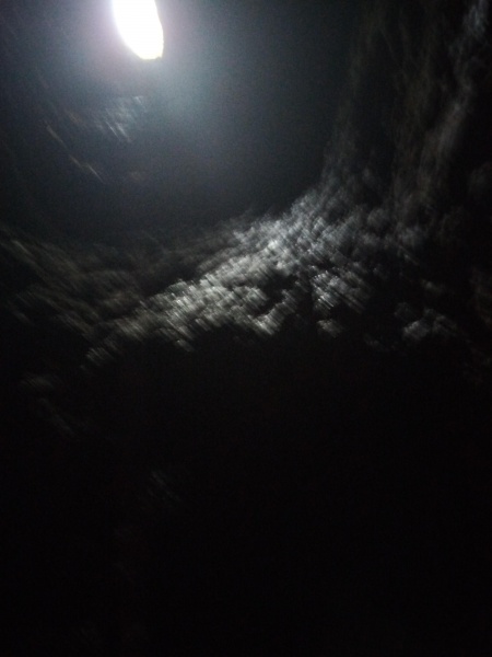 קובץ:2025-05-02T10 36 29.752741643971.jpg