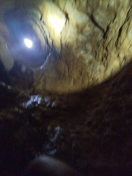 קובץ:2025-05-02T10 41 43.299669845559.jpg