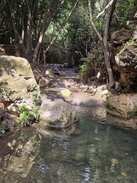 קובץ:2025-05-02T11 10 21.114022266812.jpg