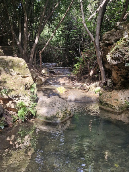 קובץ:2025-05-02T11 12 19.129851681289.jpg