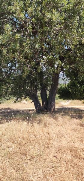 קובץ:2025-05-02T11 34 43.406136941261.jpg