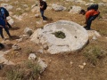 תמונה ממוזערת לגרסה מתאריך 15:37, 7 במאי 2025
